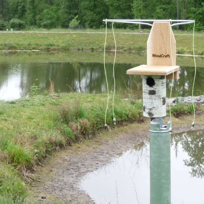 Gilbertson Nest Box with Sparrow Spooker