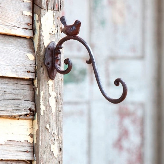 bird feeder hook