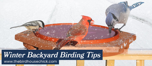 5 Tips to Keep Your Feathered Friends Happy All Winter Long