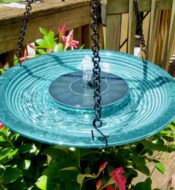 Hanging Bird Baths in Ceramic, Glass, Copper & More