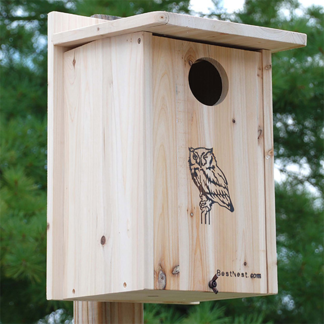 Close-up of BestNest cedar nesting house mounted on a tree, designed for screech owls and kestrels, with durable weather-resistant construction for wildlife shelter.