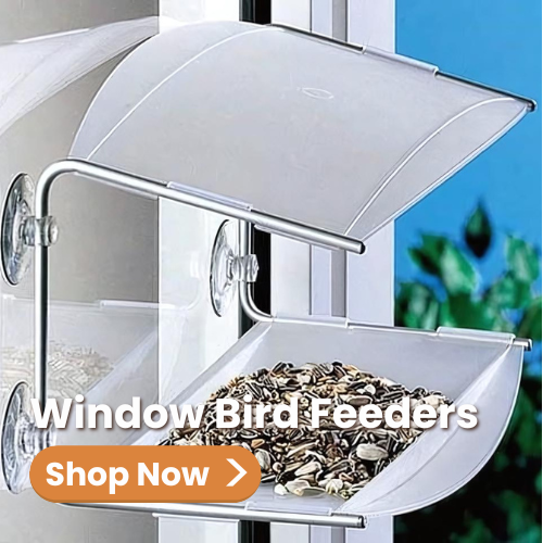 Unique Bird Feeders | Best Bird Feeders All Styles |The Birdhouse Chick