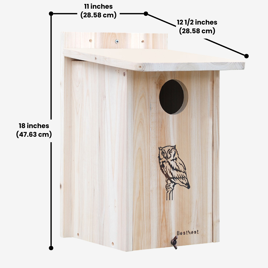 Close-up of BestNest cedar nesting house mounted on a tree, designed for screech owls and kestrels, with durable weather-resistant construction for wildlife shelter.