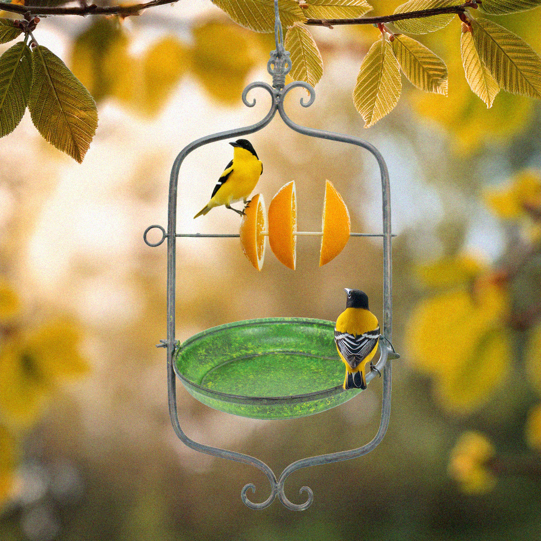 Decorative antique hanging feeder designed for fruit slices