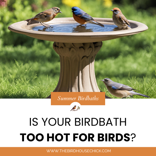 Unique Birdhouses | Wild Bird Feeders | Unusual Bird Baths | Yard Art ...