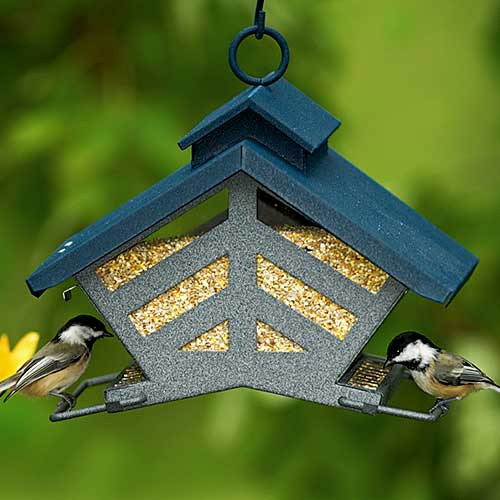 Deluxe Duo Bird Feeder