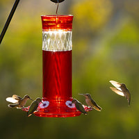 Diamond Ruby Hummingbird Feeder – Elegant and Vibrant Bird Feeder for Gardens