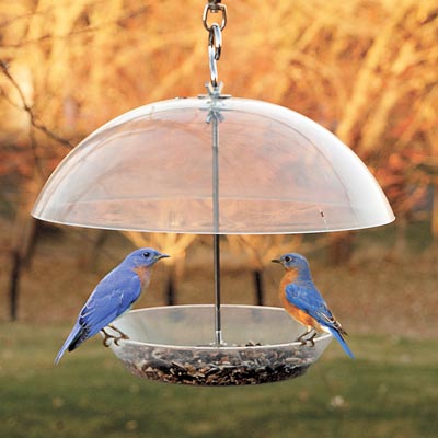 Domed Wild-Bird Feeder