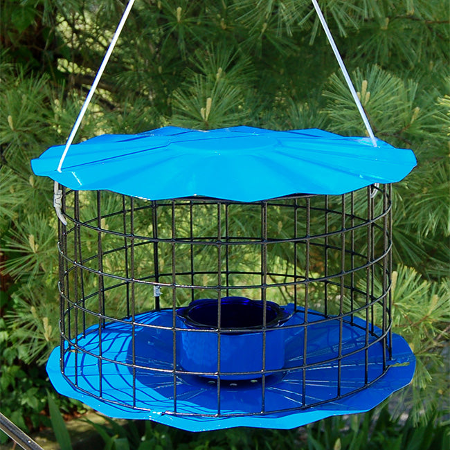 Electric Blue Caged Bluebird Feeder