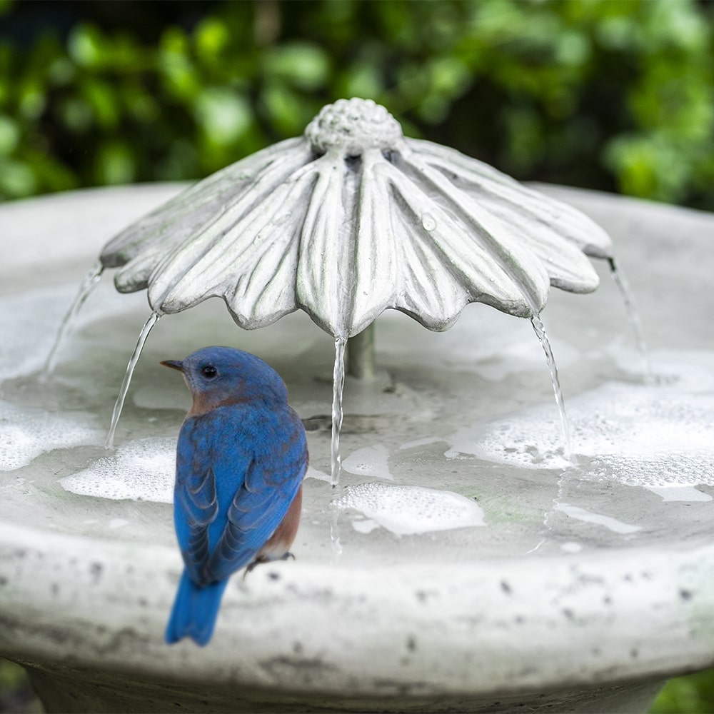 Store Lotus Flower Water Lily Fused Glass Bird Bath Bird Feeder