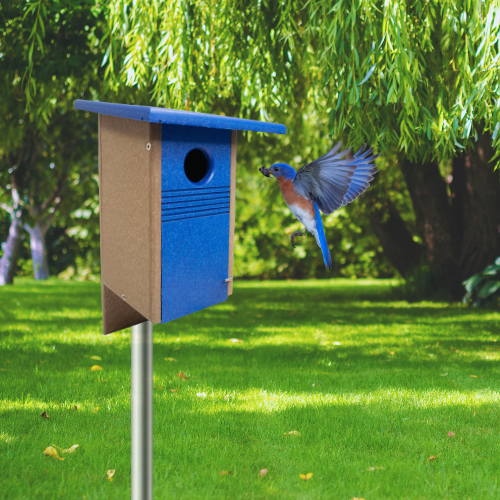 Classic durable bluebird house made of weather-resistant wood, designed for nesting birds with proper ventilation and drainage.