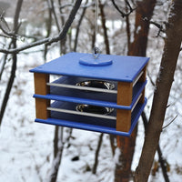 Gilbertson Hanging Bluebird Feeder