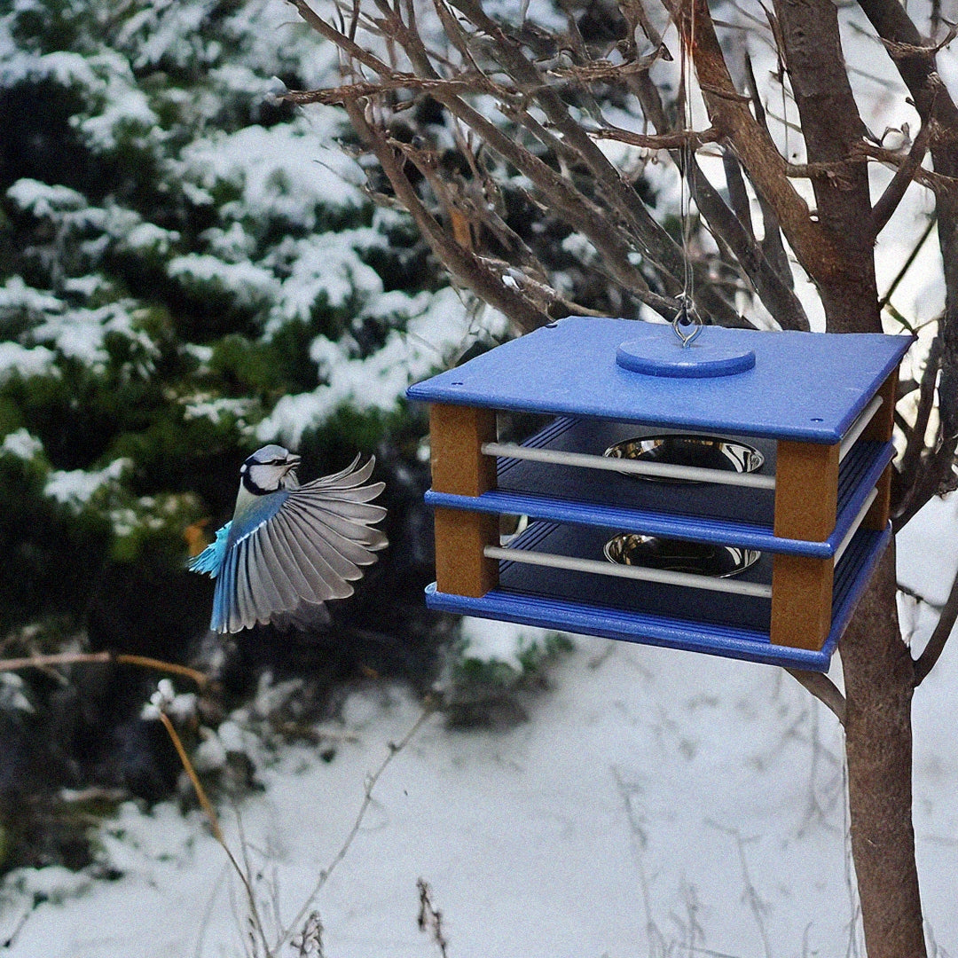 Gilbertson Hanging Bluebird Feeder