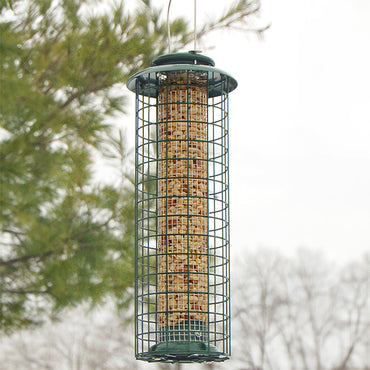 Caged Tube Bird Feeder