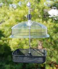 Mesh Tray All-Purpose Bird Feeder – Versatile and Easy-to-Clean Feeder for Various Bird Seeds