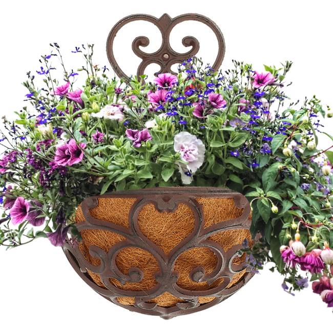 Half-Round Cast Iron Garden Wall Planter – Victorian-style scrollwork adds classic charm to any wall or fence. Durable cast iron with a distressed black finish for vintage appeal. Half-round basket includes a coco liner for flowers or herbs. Pre-drilled holes for easy mounting. Measures 11"W x 6.5"D x 14.25"H. Perfect for indoor or outdoor elegance.