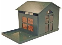 Heavy-duty metal squirrel feeder with chew-proof design, ideal for backyard wildlife feeding.