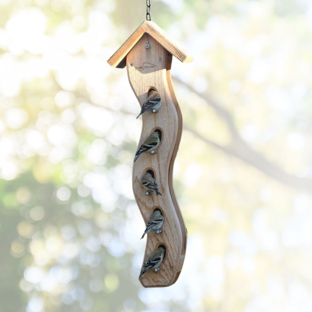 Large Wave Bird Feeder