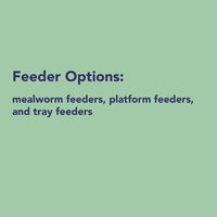 Option Feeder for Dried Mealworms – High-Protein Bird Treats for Attracting a Variety of Birds