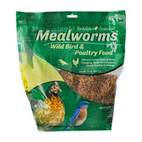 Dried Mealworms – High-Protein Bird Treats for Attracting a Variety of Birds