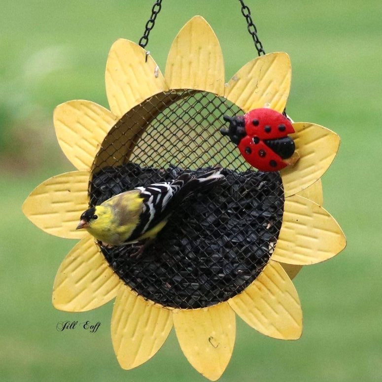 Sunflower Seed Mesh Bird Feeder