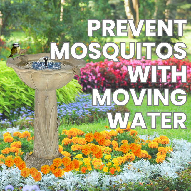 A decorative solar birdbath in a vibrant garden with text overlay emphasizing its benefit in preventing stagnant water.