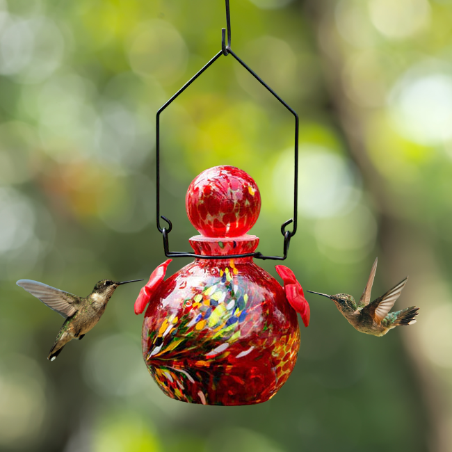 A hanging blown glass hummingbird feeder with two feeding ports, attracting hummingbirds in a lush outdoor setting.