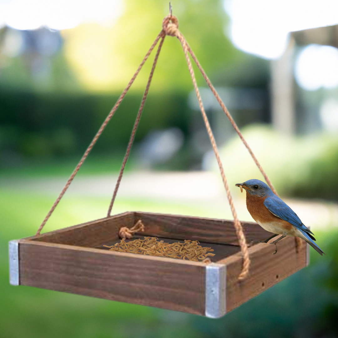 Rustic Platform Trio Bird Feeder – Multi-Tiered Bird Feeder for Gardens