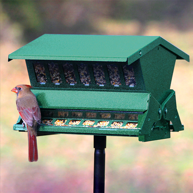 Twice the Treats Bird Feeder with Pole Hanger