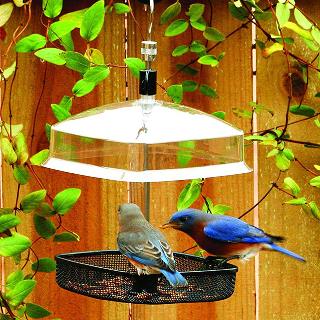 Mesh Tray All-Purpose Bird Feeder – Versatile and Easy-to-Clean Feeder for Various Bird Seeds