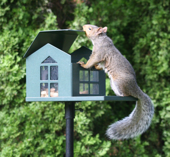 Heavy-duty metal squirrel feeder with chew-proof design, ideal for backyard wildlife feeding.