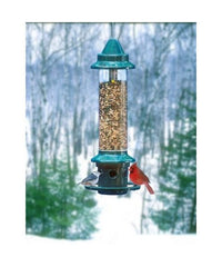 squirrel buster all weather bird feeder