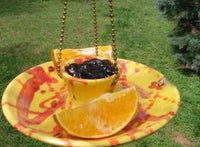 Stoneware Butterfly Feeder is perfect for fruit & jelly too