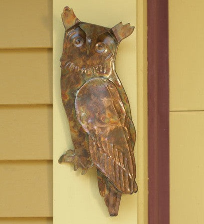 Flamed Copper Owl