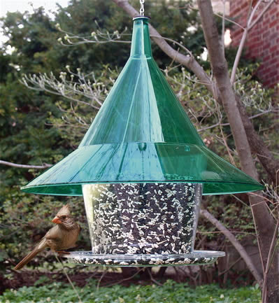 Sky Cafe Squirrel Proof Bird Feeder by Arundale