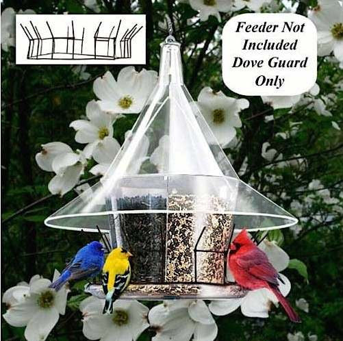 Dove Guard for Sky Cafe Feeder 