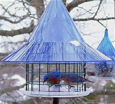 Sky Cafe Bluebird Feeder