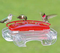 Jewel Box Window Hummingbird Feeder