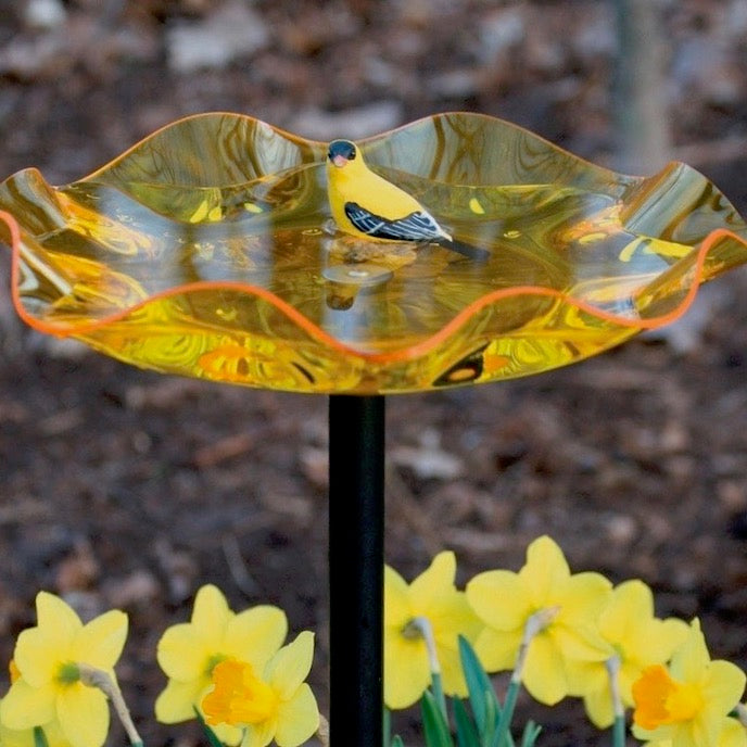 Acrylic Bird Bath on Pole