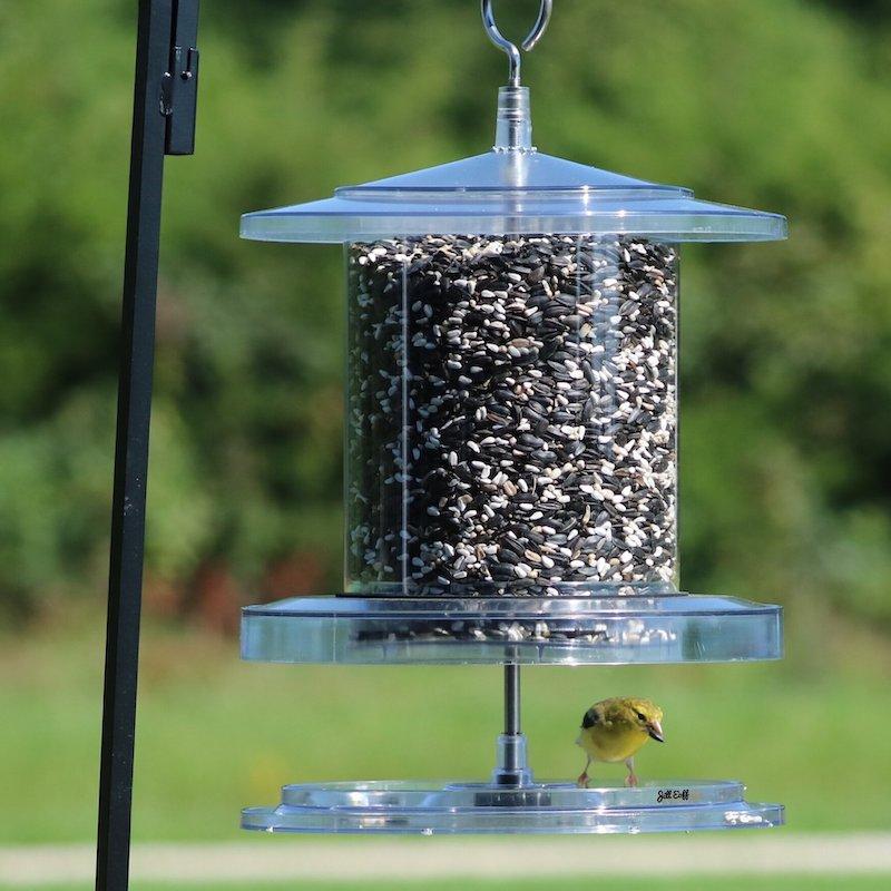 All Weather Bird Feeder