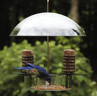 Super Dome Bird Feeder by BirdsChoice