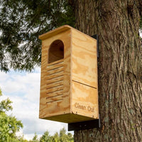 Barred Owl House- Assembled