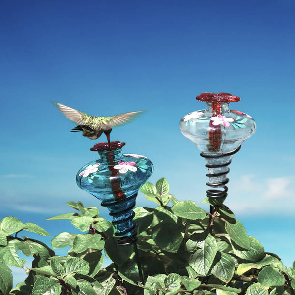 Hand Painted Glass Hummingbird Feeder | Unique Humming Bird