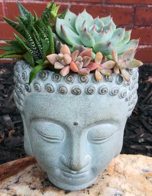 Buddha Head Planter- Top View