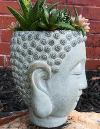 Buddha Head Planter- Side Detail