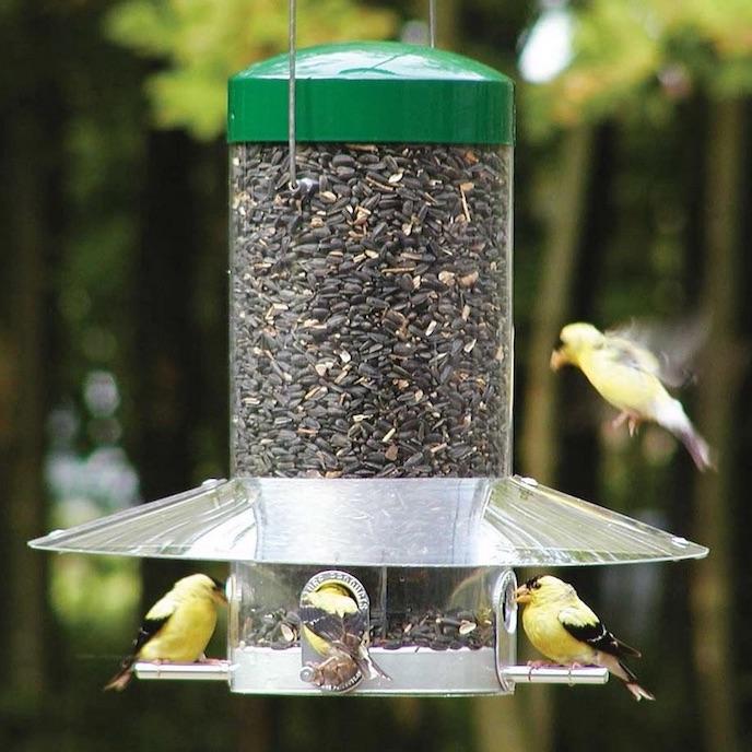 Classic Hanging Squirrel-Proof Bird Feeder