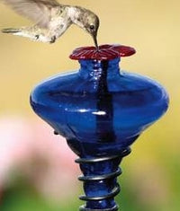 Cobalt Mini-Blossom Hummingbird Feeder