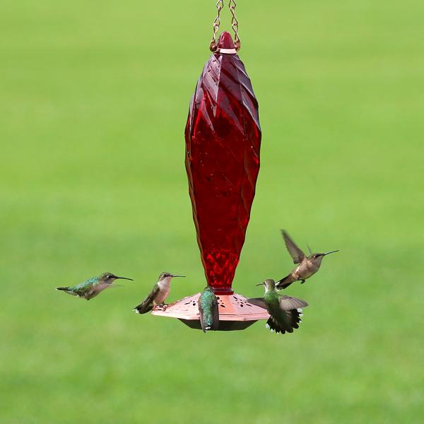 Cut Glass Ruby Hummingbird Feeder