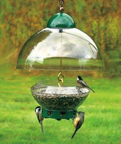 Big Top Squirrel Proof Bird Feeder