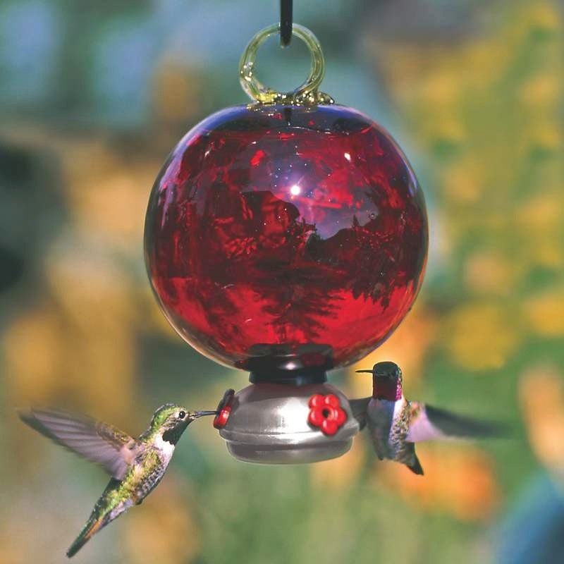 Dew Drop Ruby Red Hummingbird Feeder 